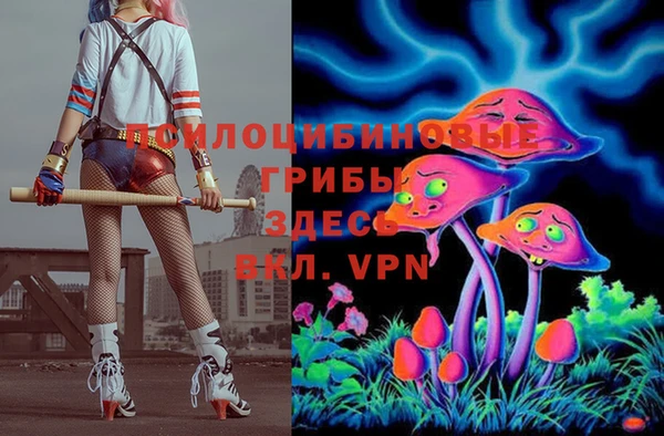 винт Арсеньев
