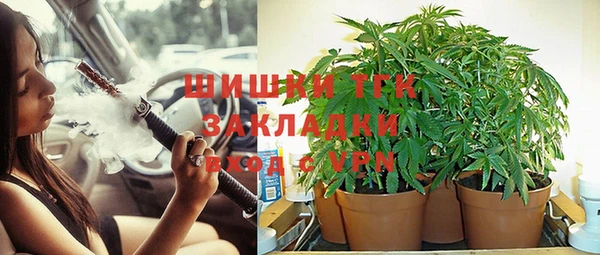 винт Арсеньев