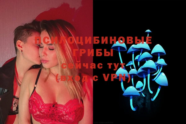прущая мука Армянск