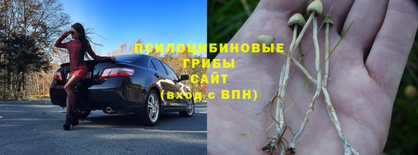 винт Арсеньев