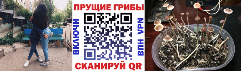 Псилоцибиновые грибы MAGIC MUSHROOMS Суджа