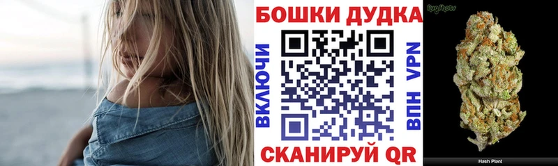 что такое Суджа Бошки Шишки индика